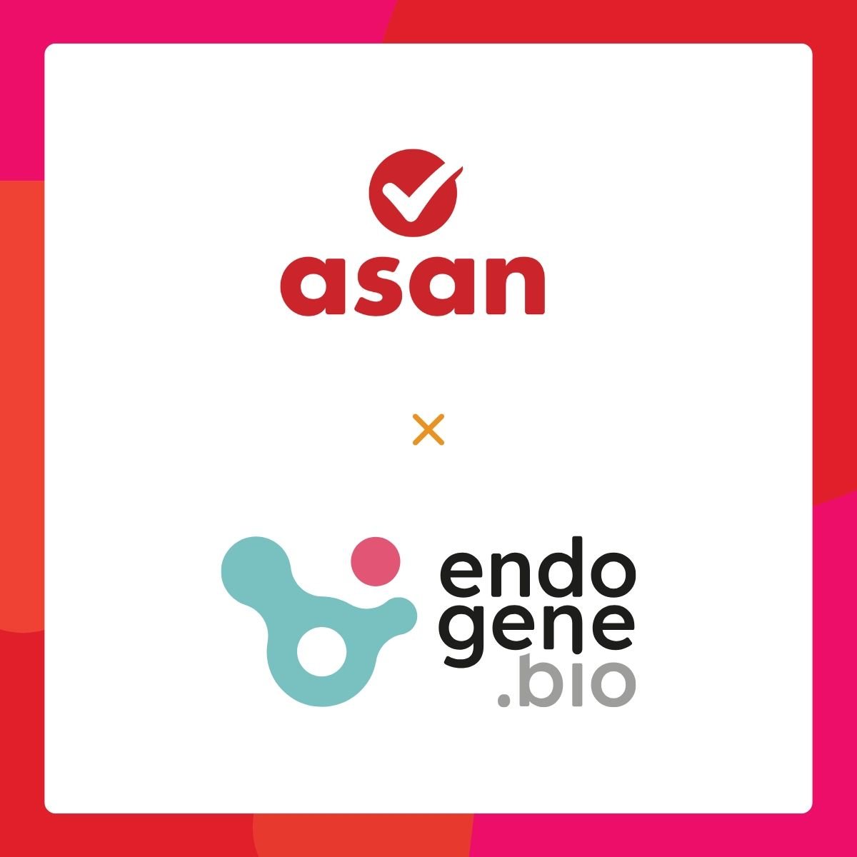 Renewed partnership with Asan Cups